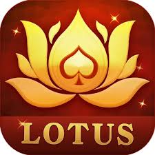 teen patti lowa download